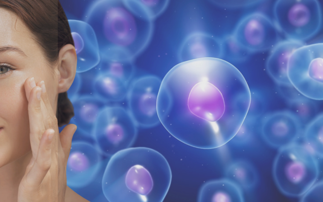 NMN + Resveratrol: The Powerful Cellular Longevity Duo